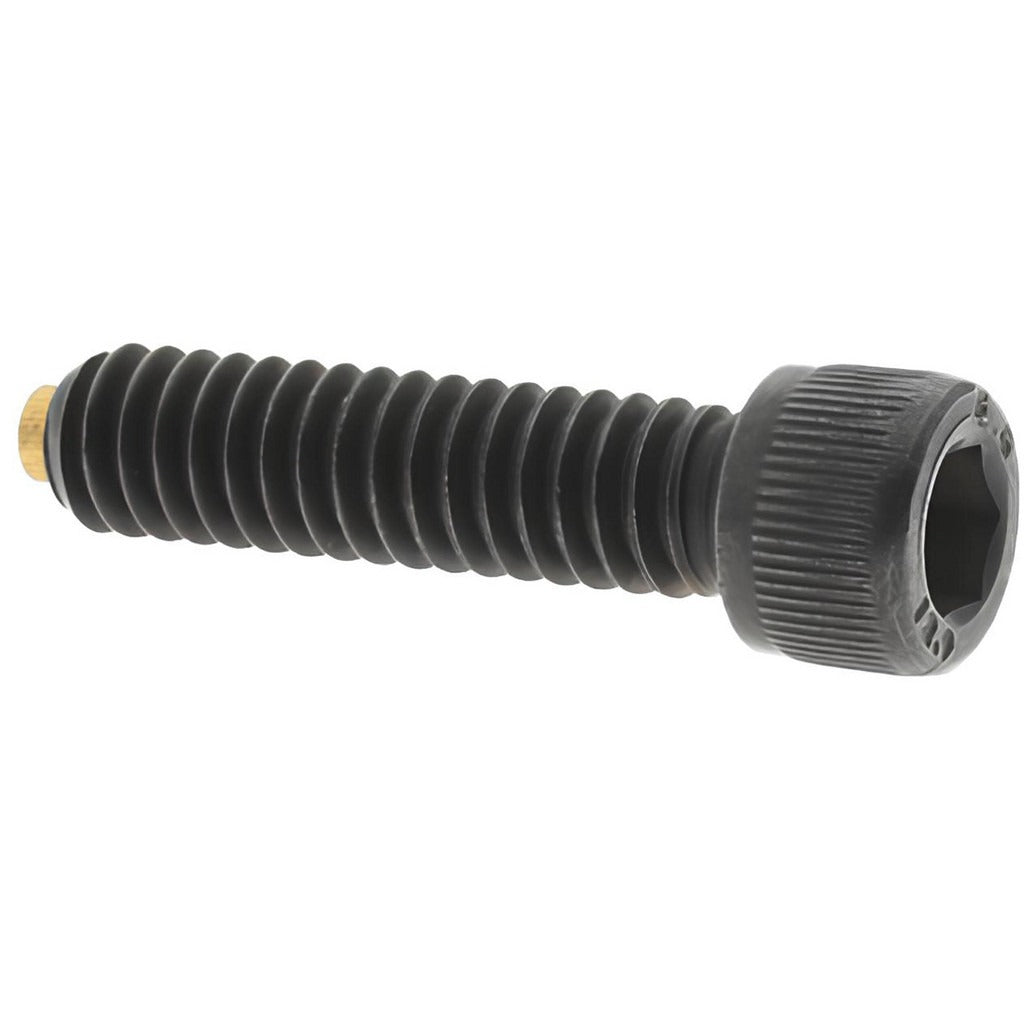 VALUE COLLECTION Value Collection SHB-1420-1-AS Hex Socket Cap Screw 1/4-20