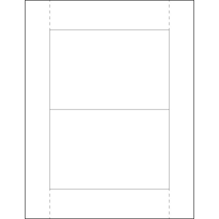 BSC PREFERRED Bsc Preferred LH227 Insert Cards Vinyl Envelopes 100 Pack