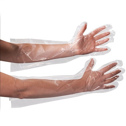 BSC PREFERRED Bsc Preferred GLV2221 Disposable Polyethylene Gloves 250/CS