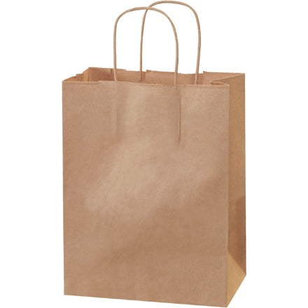 BSC PREFERRED Bsc Preferred BGS103K Kraft Paper Shopping Bags 250/case