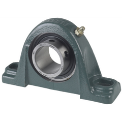 Dodge P2BVSCB100 Pillow Block Ball Bearing Unit - 2-Bolt Base - 1 in Bore - Cast Iron Material