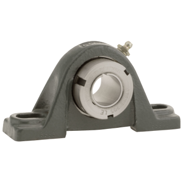 Dodge P2B-GT-200 Pillow Block Ball Bearing Unit - 2-Bolt Base - 2 in Bore - 00250