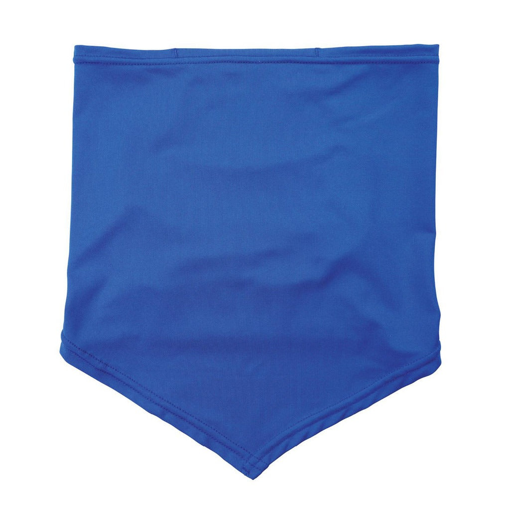 ERGODYNE Ergodyne 42134 Cooling Bandana Blue Large X-large