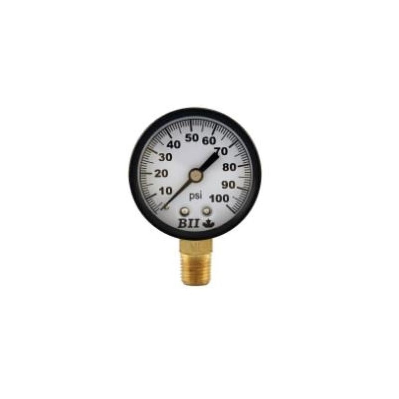 BOSHART Boshart PG-200 Pressure Gauge 2 in Dial (PENL-PG200)