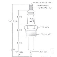 Auburn E5-I-2-1 Ignitor with 12 Inch Probe - Industrial Applications