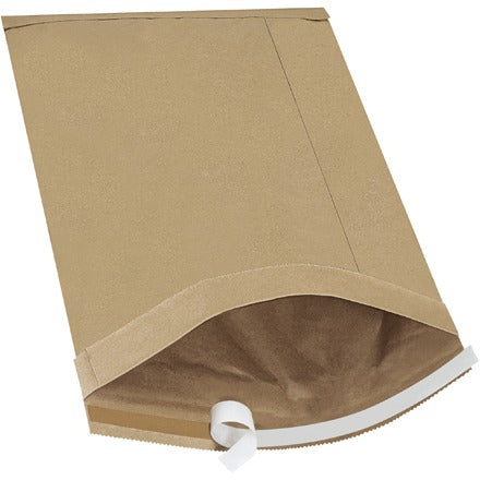 BSC PREFERRED Bsc Preferred B811SS25PK Padded Mailer 25 Pack