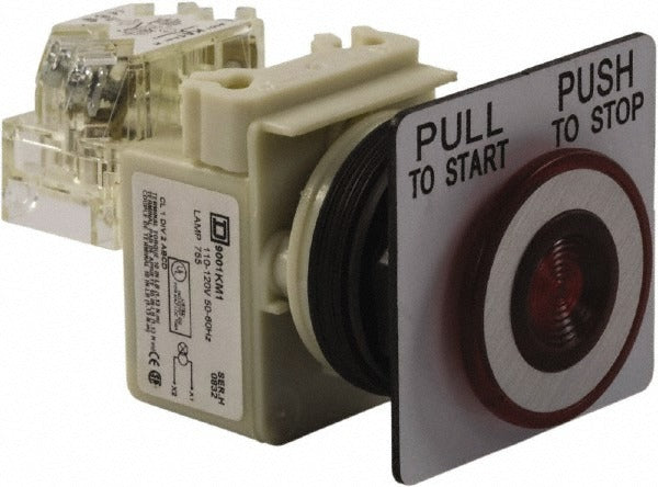 SCHNEIDER ELECTRIC Schneider Electric 9001SKR9P1RH13 Push-button Switch