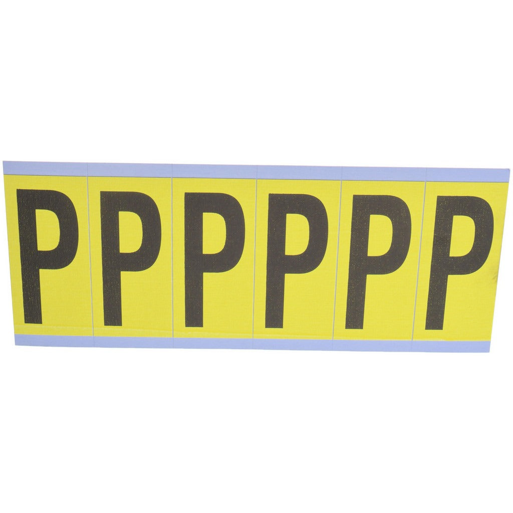 STRANCO Stranco SB6-P Letter P Rectangle Vinyl Identification Label