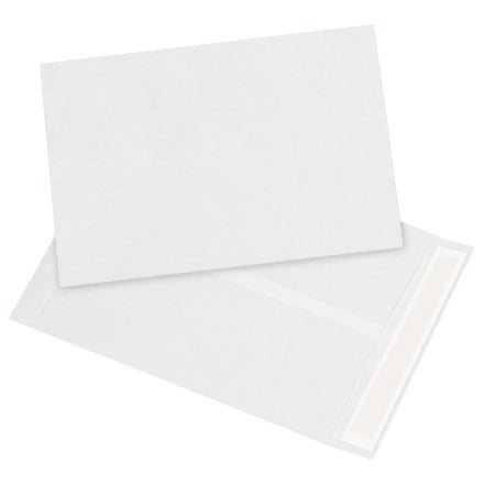 BSC PREFERRED Bsc Preferred TYF091212WH Tyvek Envelopes 100 Per Case