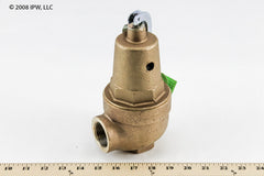 Apollo Valves 10-606-20 1.25 IN X 1.25 IN Set Pressure Relief Valve 100 psi Bronze Hot Water Relief