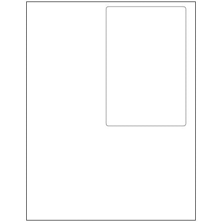 BSC PREFERRED Bsc Preferred IL305 Combo Shipping Label Sheet 100 Pack