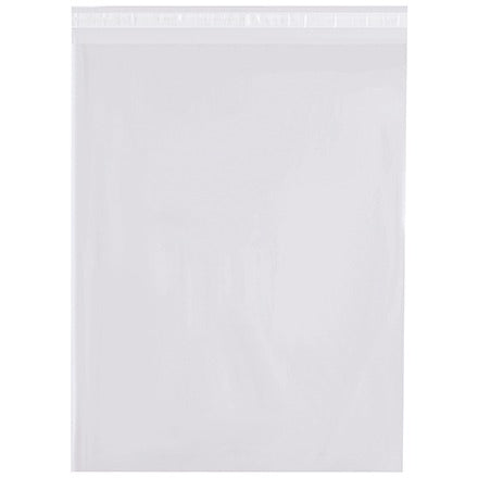 BSC PREFERRED Bsc Preferred PRR121515 Self-seal Poly Bags 1000 Per Case
