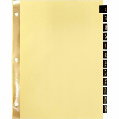 BUSINESS SOURCE Business Source BSN01183 Monthly Index Dividers