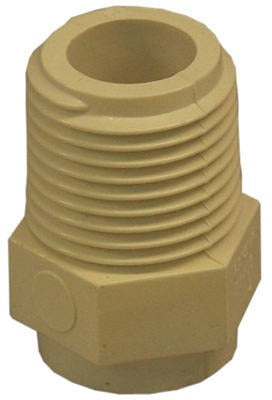 NIBCO Nibco Inc T00060D Cpvc Mip Adapter 0.5 Inches