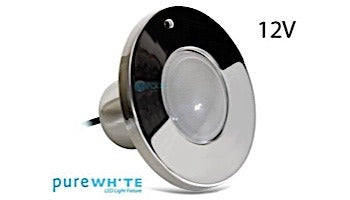 HAYWARD HAYWARD 21107 PureWhite LED Spa Fixture 12V