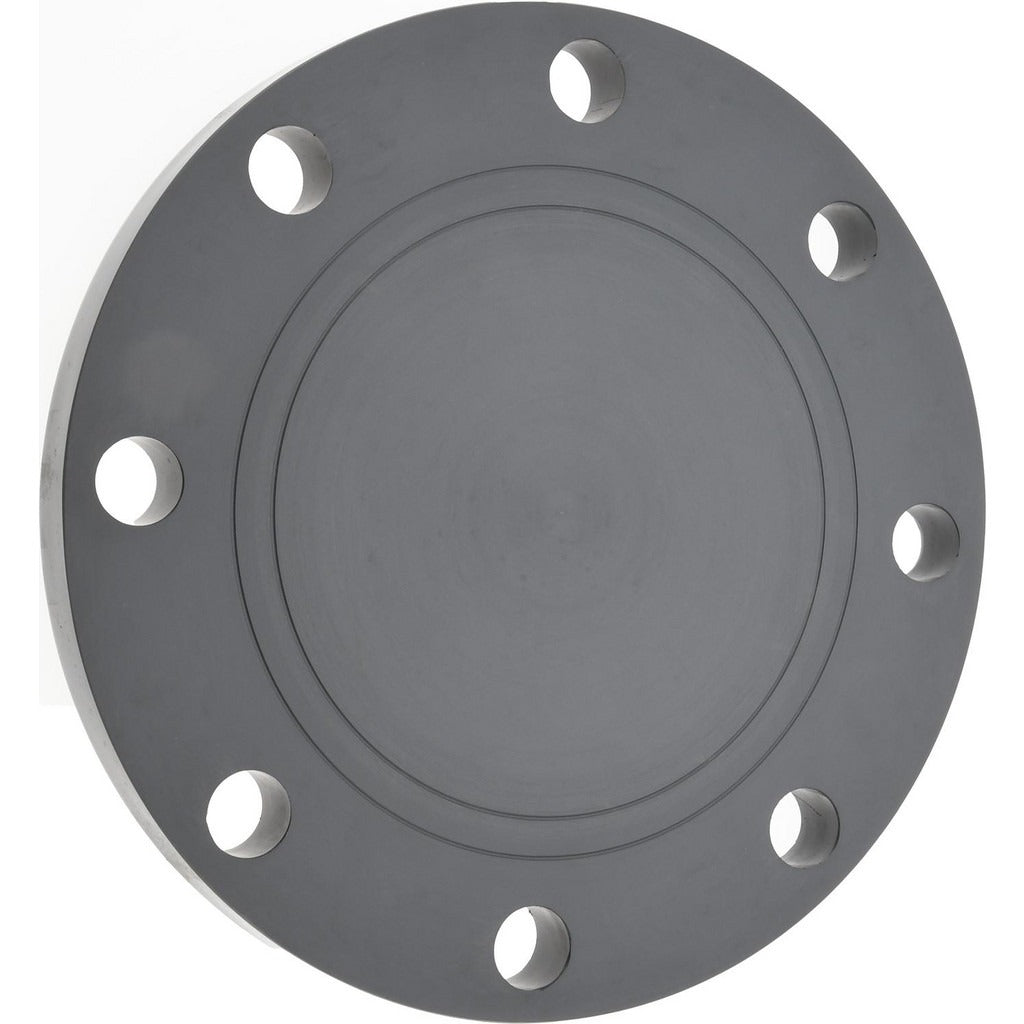 PRO-SOURCE Pro-source 90381401009 Pvc Blind Pipe Flange 6 in Sch 80