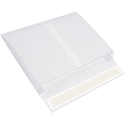 BSC PREFERRED Bsc Preferred TYE10152WS Tyvek Envelopes 100 Per Case