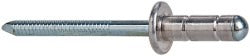 RIVETKING Rivetking ABS84-86RTP250 Blind Rivet Dome Head 250 Pack