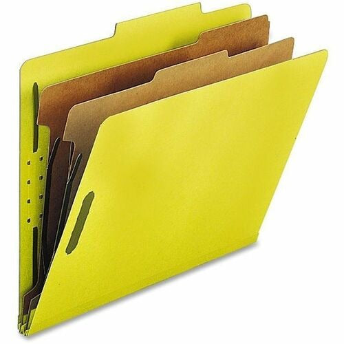 NATURE SAVER Nature Saver NATSP17209 Classification Folder Box of 10