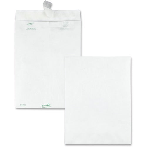 QUALITY PARK Quality Park QUAR1460 Tyvek Envelope 9x12 White 100-pack