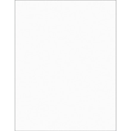 BSC PREFERRED Bsc Preferred LL224CL Laser Printer Labels 100 Per Case