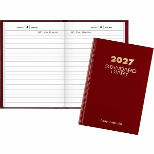 AT-A-GLANCE At-a-glance AAGSD38913 Daily Reminder Business Diary