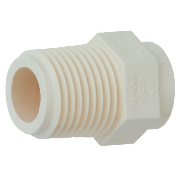 CHARLOTTE PIPE Charlotte Pipe CTS 02109  1000HA 1 In. Male Thread to CPVC Adapter (1 in / Each)