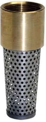 ASHLAND Ashland Water Group TFV-100NL Brass Foot Valve 1 Inch