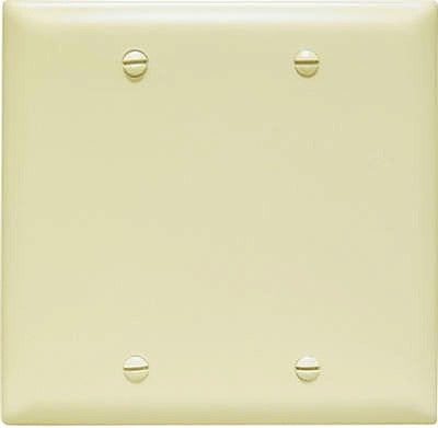 LEGRAND Pass Seymour TP23ICC12 2 Gang Blank Nylon Wall Plate
