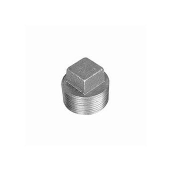 WARD Ward 1.BP Square Head Cored Plug (1 in)