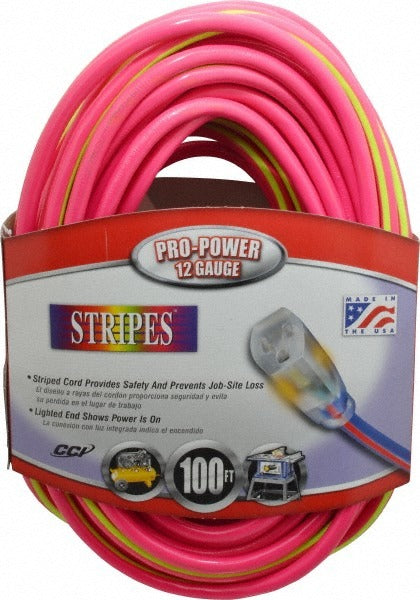 SOUTHWIRE Southwire 2549SW0077 Outdoor Extension Cord 100 Ft 12/3