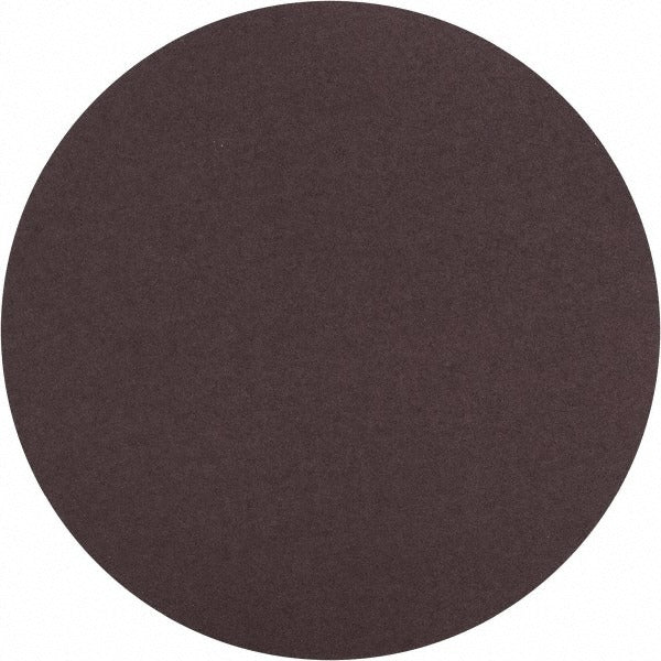 NORTON Norton 66261136600 Psa Disc 100 Grit 10 in Aluminum Oxide