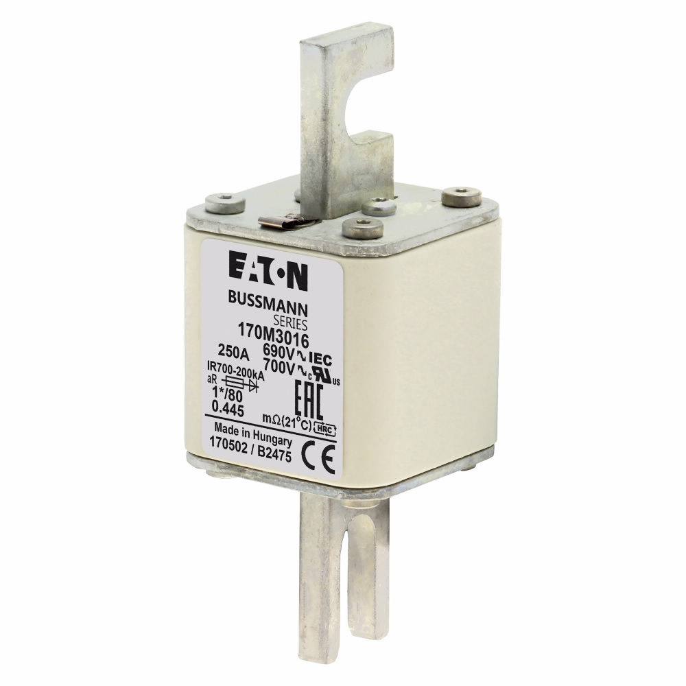 Bussmann 170M3016 FUSE 250A 690V 1*/80