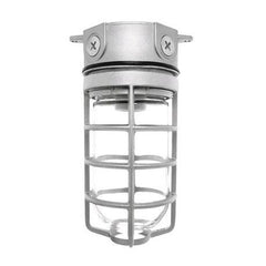 RAB VX100DG Vapor Tight Utility Light Fixture 150 Watts 120/277 VAC