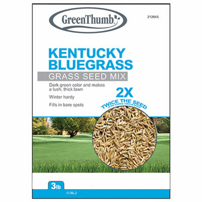 True Value TVKBG3 TV 3LB KY BLUGRASS SEED