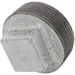 Everflow GMPL2120 | 2-1/2 Galvanized Plug | Everflow