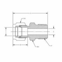 Tylok SS-8-DMC-6 Stainless 1/2 CBC Tube x 3/8 MNPT Straight Male Connector