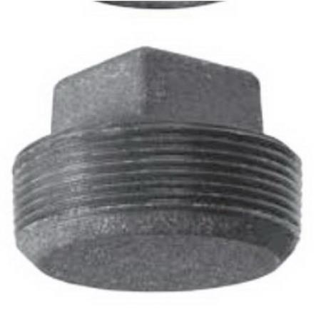 ASC ENGINEERED SOLUTIONS Asc Engineered Solutions 0318901840 Cast Iron Solid Square Head Plug 3/4 in