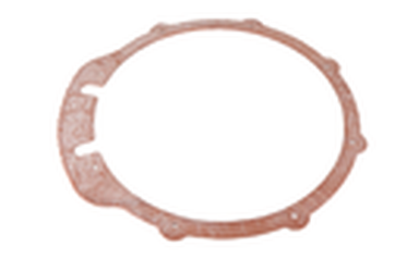 Lochinvar 100326229 Gasket Manifold Cover