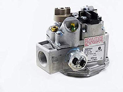 Raypak 007666F Combination Gas Valve Natural Gas