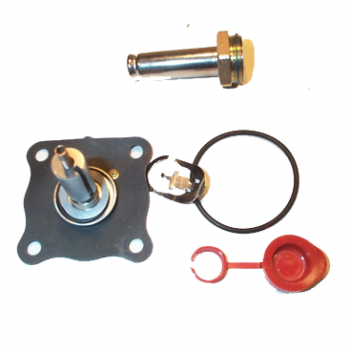 ASCO 304-031 Repair Kit | 304-031