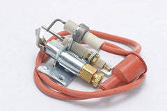 BASO Gas Products Pilot Burner & Flame Sensor Q90AA-1 For Industrial and Commercial Use