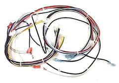 Armstrong R45407-001 Wire Harness Armstrong Furnace