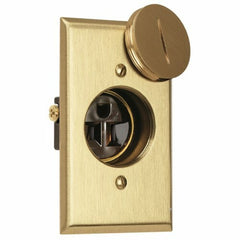 Legrand 1542-TR-DR Tamper-Resistant Display Receptacle 15A 125V Brass Plate