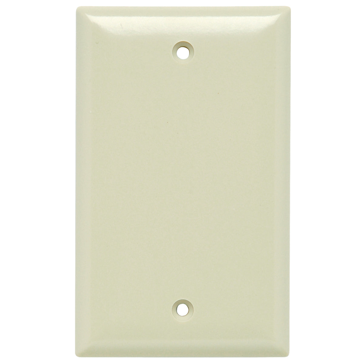 Legrand SP13-I Plate Plastic 1gang Blank Without Line Ivory