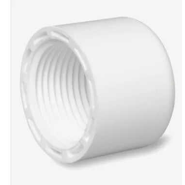 Mueller 448-010 1 In. FPT Threaded Sch 40 PVC Cap