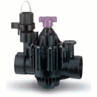 Rain Bird B30310 1 Plastic Residential/Commercial Irrigation Valve Available with BSP Threads