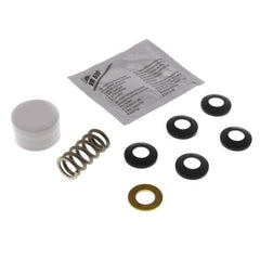 Honeywell R43176754002 Packing Kit for 2-1/2 inch and 3 inch ANSI 125 VGF Valves