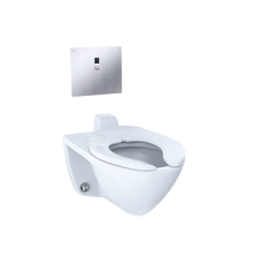 Toto TET2LA31#SS Ecopower Touchless 1.28 GPF Toilet Flushometer Valve with 14 x 12 Cover Plate and Vacuum Breaker Set for Back Spud