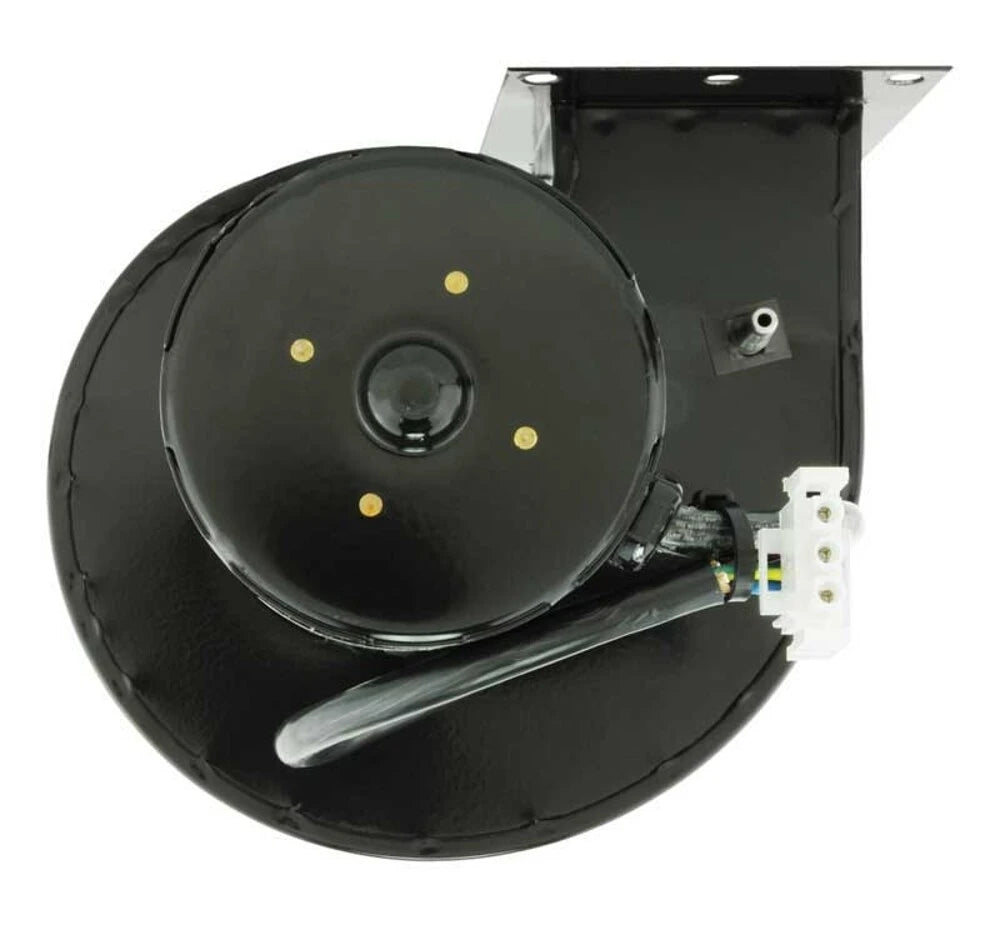 rheem-sp20165b.webp